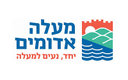 עיריית מעלה אדומים